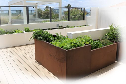 A home garden using planters on an outdoor raised terrace at a condo, with vegetables and herbs