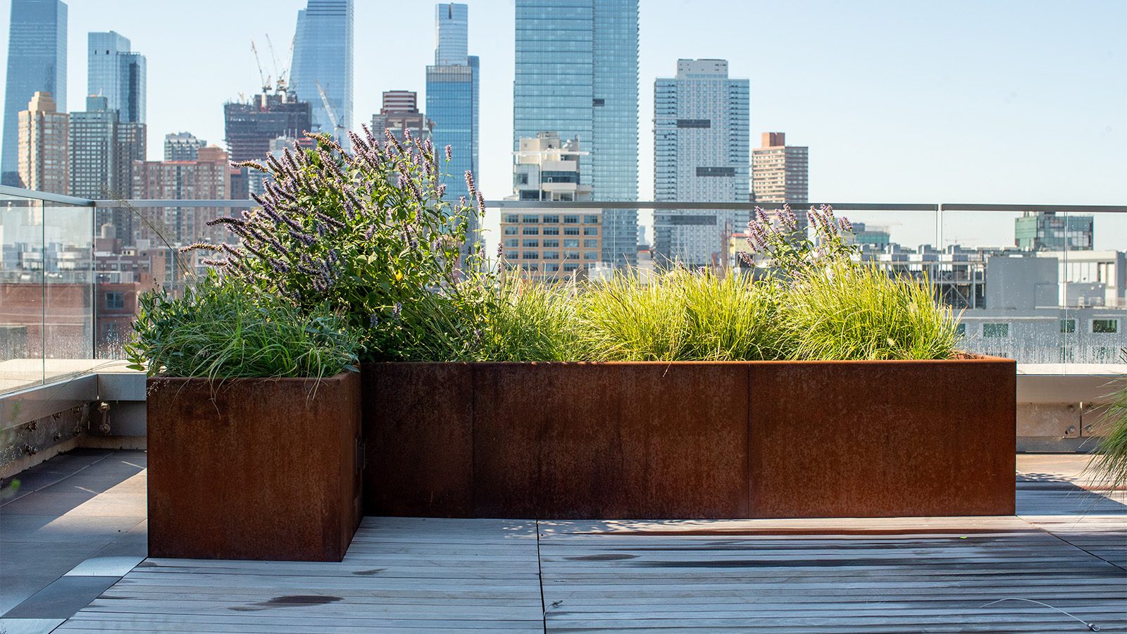 weathered corten steel planters on a city roof