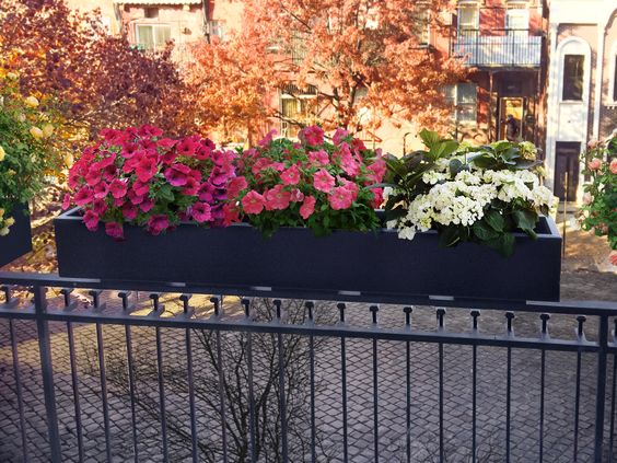 flowers in a fence planter