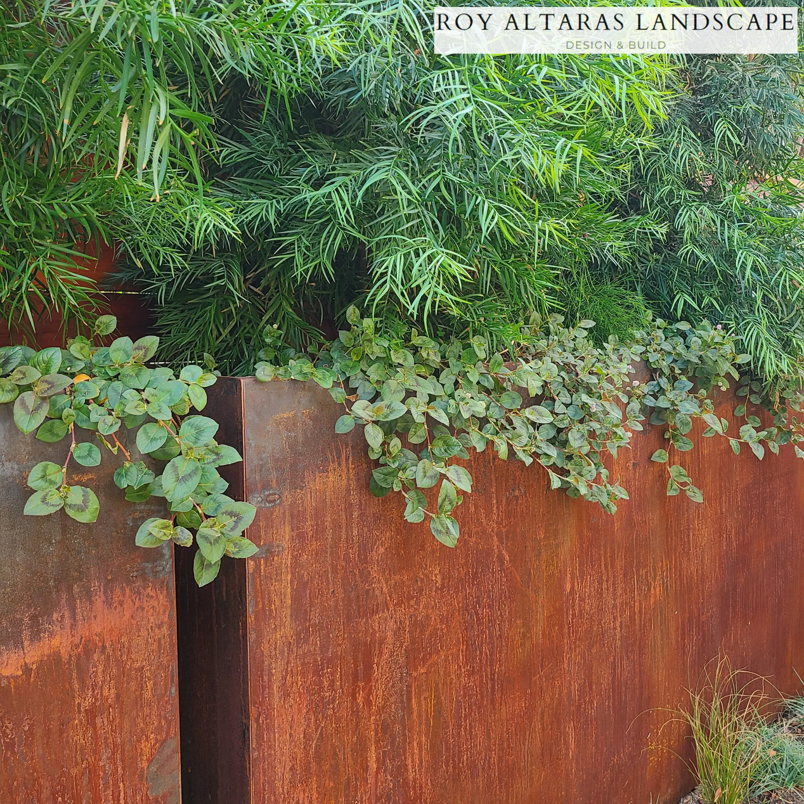 A Corten Steel planter with vibrant green plants growing in them.