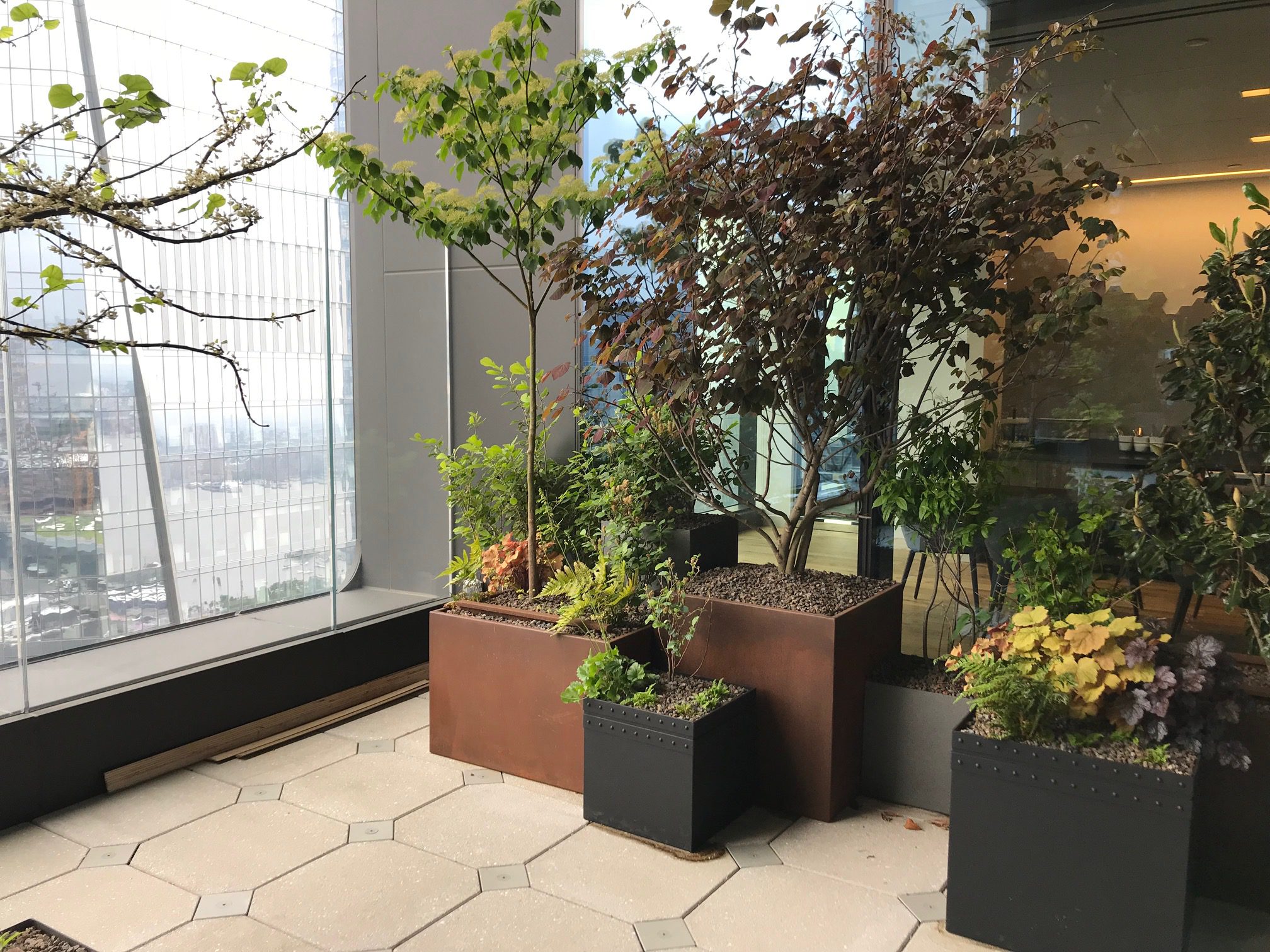 Corten Steel and aluminum planters with trees and greenery planted in them sit inside a high-rise building.
