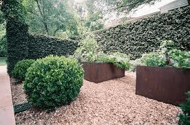 Corten steel planters in a courtyard.