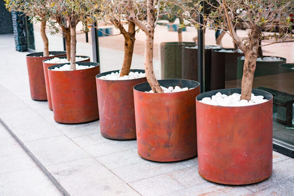 Six-cylinder Corten Steel planters lined in a row with trees growing in them.