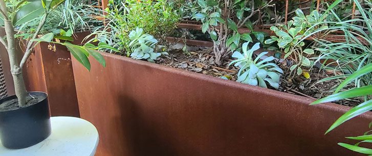 Green plants in corten flower pot close up