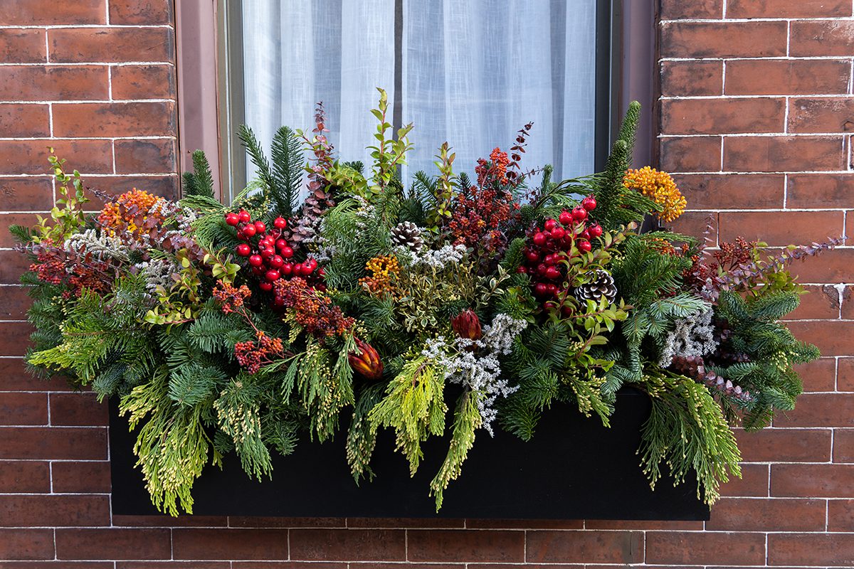 A window planter filled with a winter seasonal arrangement.