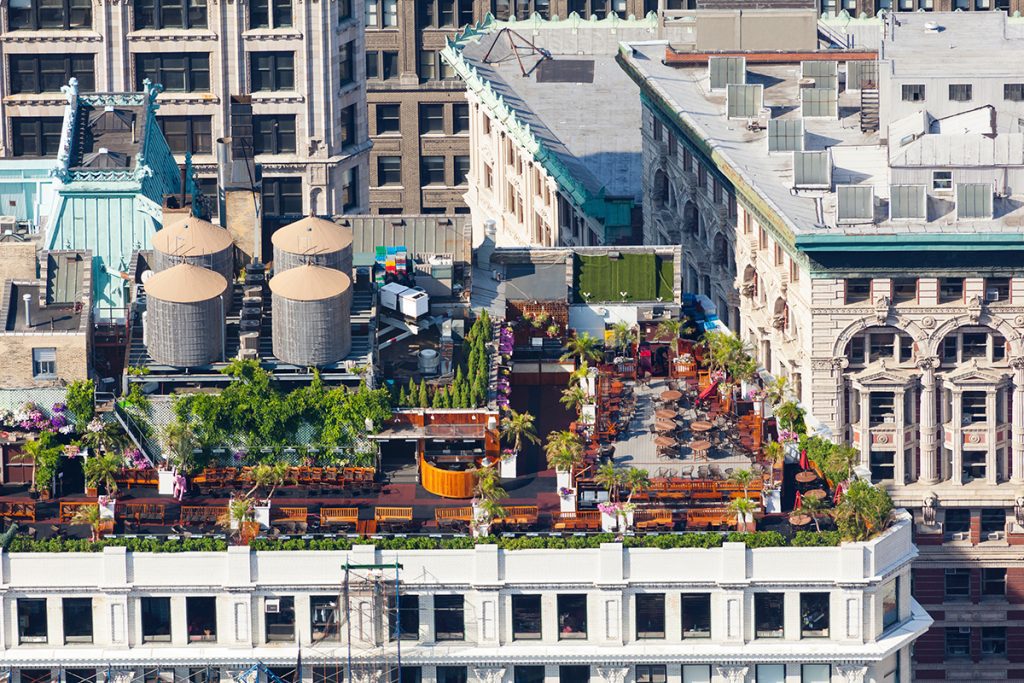 A rooftop garden on a building in Manhattan.